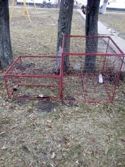 У селищі на Волині встановили контейнери для роздільного сміття