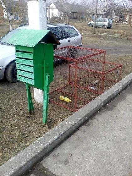 У селищі на Волині встановили контейнери для роздільного сміття