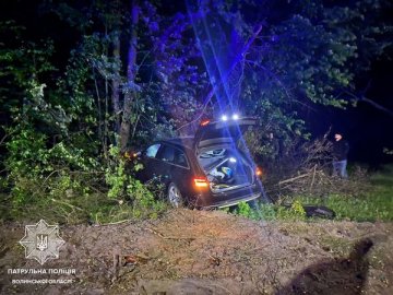 Біля Луцька кінна підвода зіткнулася з «Ауді». ФОТО