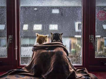 Мокрий сніг та похолодання: синоптик озвучила прогноз на найближчі дні 