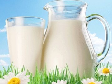 На Волині підприємства-закупівельники почали знижувати ціни на молоко