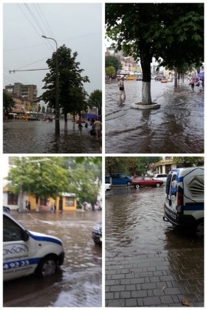 Фото: Люда Новосад