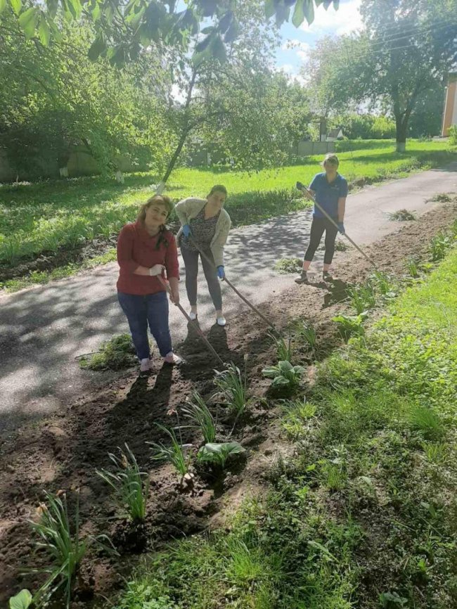 У селі поблизу Луцька активісти висадили майже 300 кущів барбарису. ФОТО