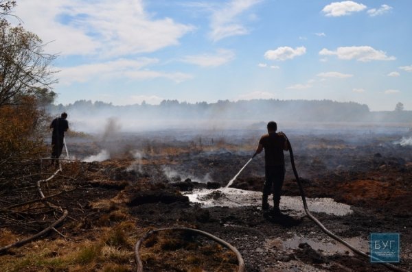 Поблизу Любомля «підпалили» торф'яники. ФОТО. ВІДЕО.