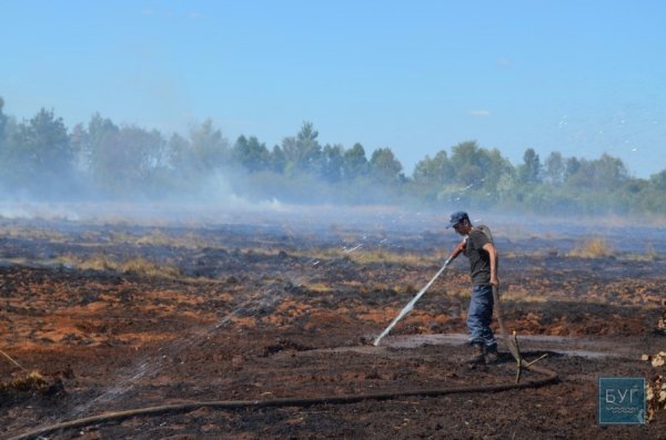 Поблизу Любомля «підпалили» торф'яники. ФОТО. ВІДЕО.