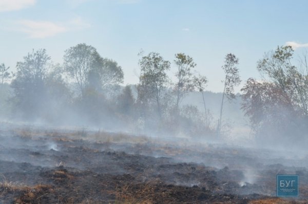 Поблизу Любомля «підпалили» торф'яники. ФОТО. ВІДЕО.