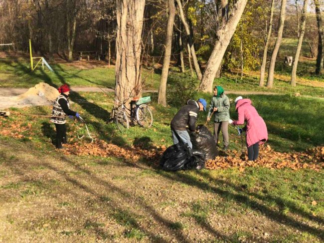 Небайдужі волиняни організували толоку, аби навести лад на території села. ФОТО