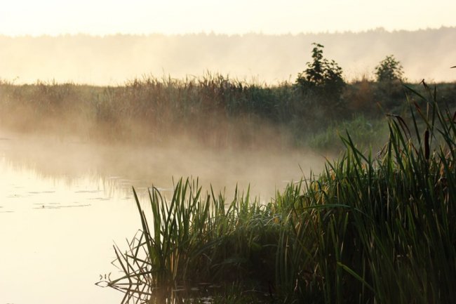 Показали світлини сходу сонця у волинському заказнику. ФОТО