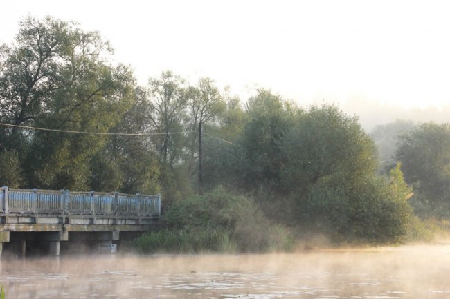 Показали світлини сходу сонця у волинському заказнику. ФОТО