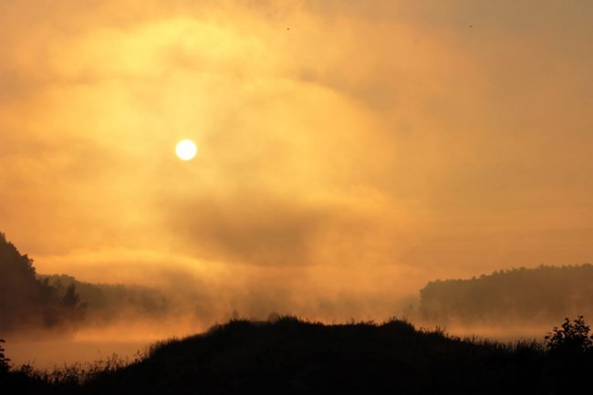 Показали світлини сходу сонця у волинському заказнику. ФОТО
