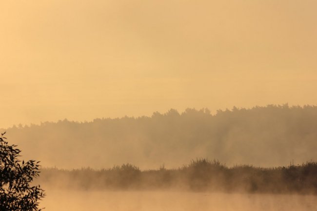 Показали світлини сходу сонця у волинському заказнику. ФОТО