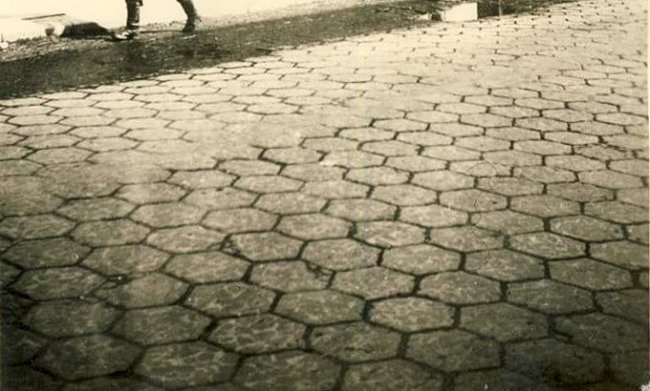 Звідки на вулицях Луцька взялася унікальна «трилінка»