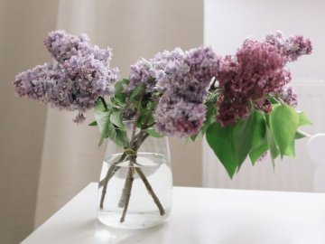 Міжнародні та державні свята в травні 2024 року: як працюватимуть та відпочиватимуть українці