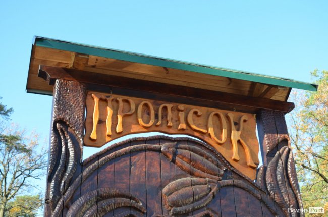 Савченко розповів, чому захищає лісників