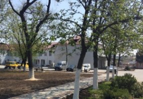 На території райлікарні на Волині відновлюють історичний парк. ФОТО