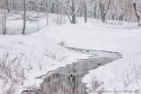 У мережі показали казковий луцький парк під снігом