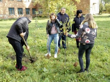 На Любомльщині учні озеленили шкільні двори. ФОТО