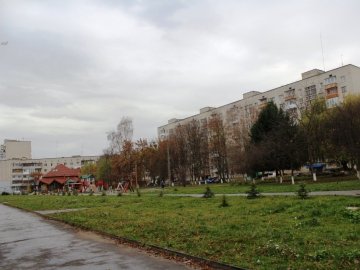 У Луцьку гниле дерево створило небезпечний тунель біля дитмайданчика