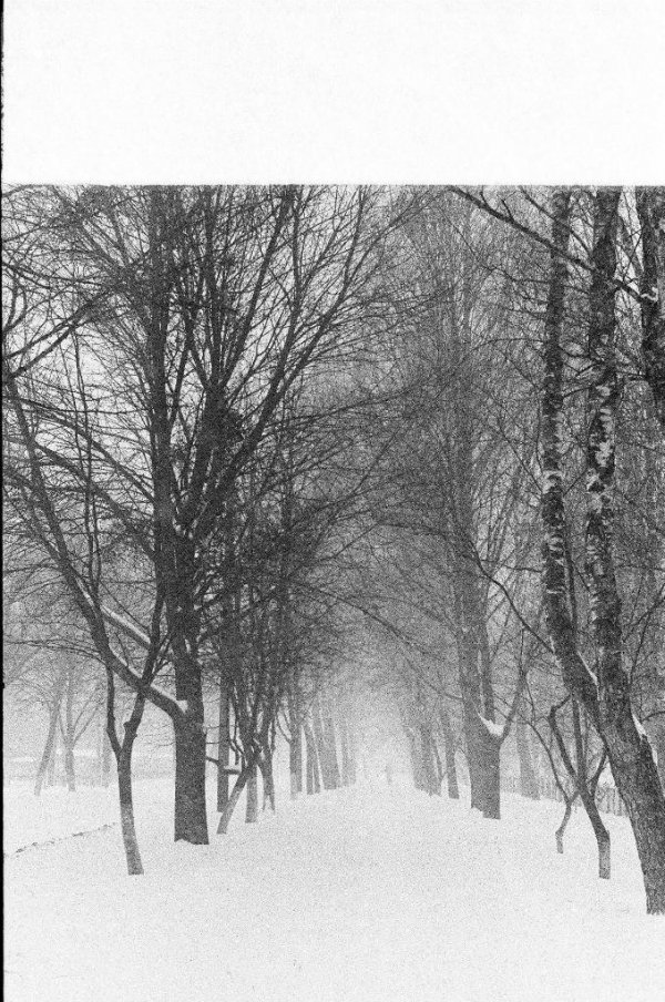 Фотовиставка Ігоря Семенюка