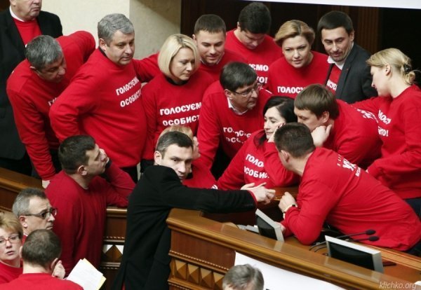 УДАР домігся свого. ФОТО*