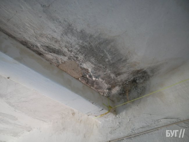 «Дах може впасти будь-якої миті»: у місті на Волині мешканці багатоповерхівки б’ють на сполох через аварійність