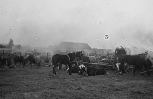 Показали світлини волинського храму сторічної давнини. РЕТРОФОТО