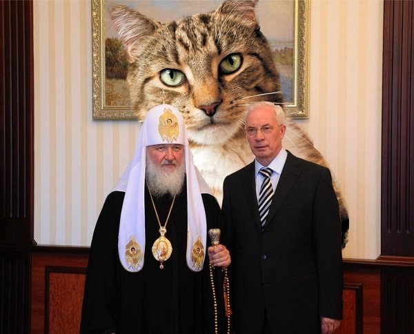 Бабуся і кіт: фотожабоманія триває. ФОТО