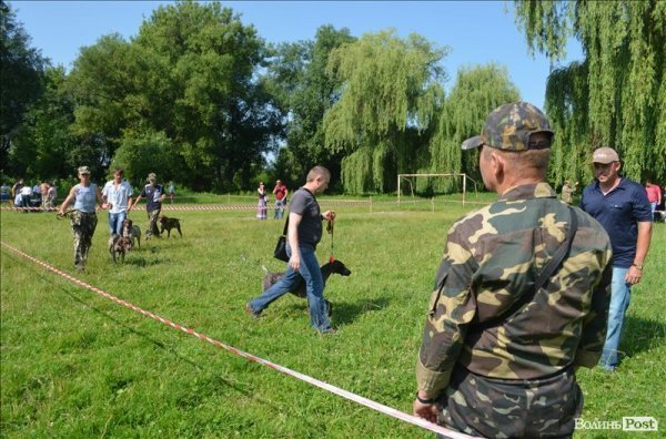 У Луцьку ‒ виставка мисливських собак. ФОТО 
