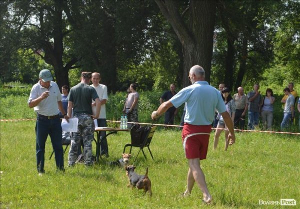 У Луцьку ‒ виставка мисливських собак. ФОТО 