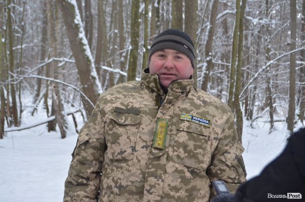 Вполювати оленя на Волині коштує більше двох тисяч гривень. ФОТО