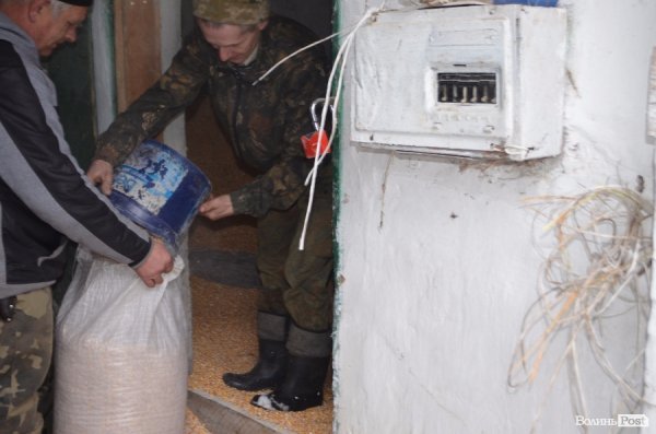 Вполювати оленя на Волині коштує більше двох тисяч гривень. ФОТО