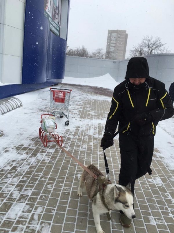 Засніжена Одеса та винахідливі одесити. ФОТО