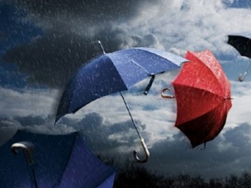 Сильний вітер «демонтував» зупинку біля волинської психлікарні