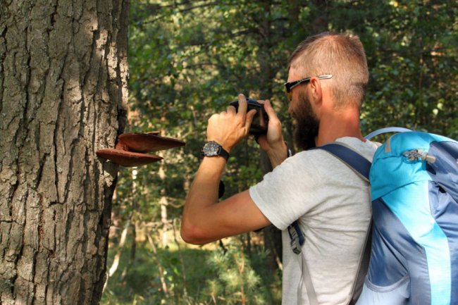Дика природа  і таємничі місця: як на Волині розвивають велотуризм. ФОТО
