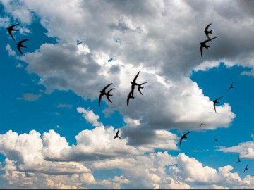 Синоптики розповіли, коли в Україні відчутно похолодає