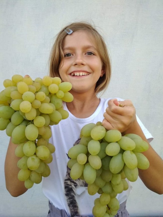 Садівник з Волині вирощує виноград, фісташки і пасифлору 