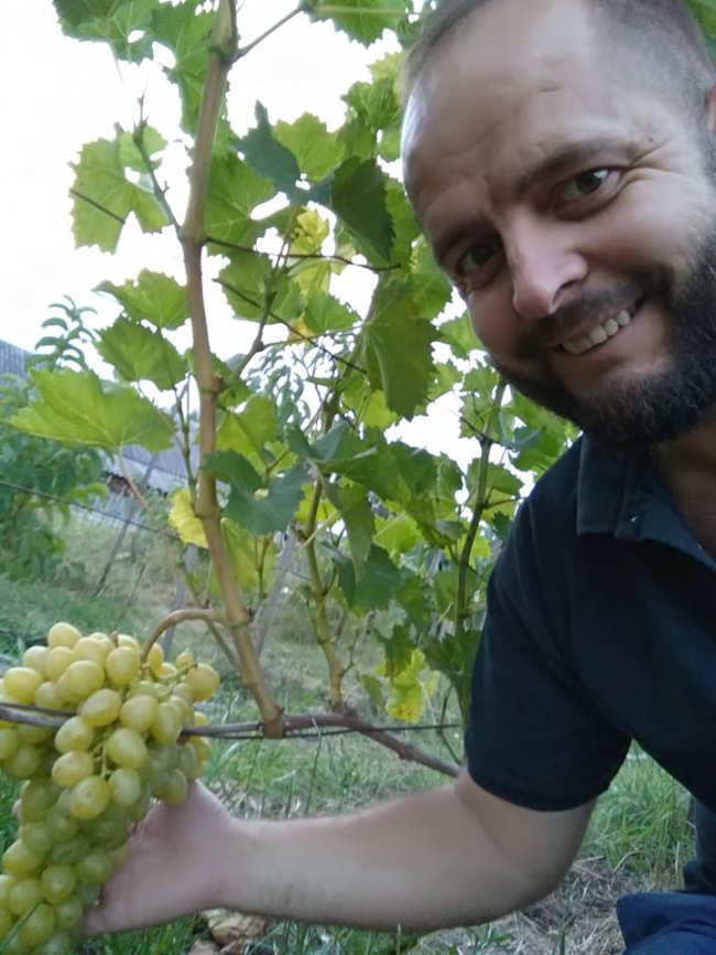 Садівник з Волині вирощує виноград, фісташки і пасифлору 
