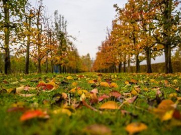Погода в Луцьку та Волинській області на середу, 21 жовтня