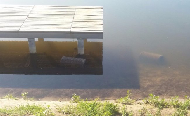 У Ковелі на набережній вандали повикидали смітники у воду