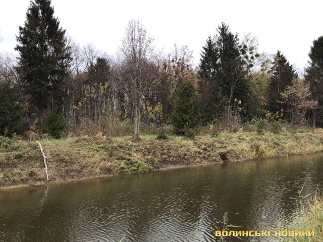 Комунальники не заважатимуть бобрам впорядковувати парк у Луцьку