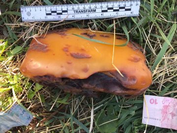 На Волині  в автівці молодика знайшли величезний камінь бурштину. ФОТО