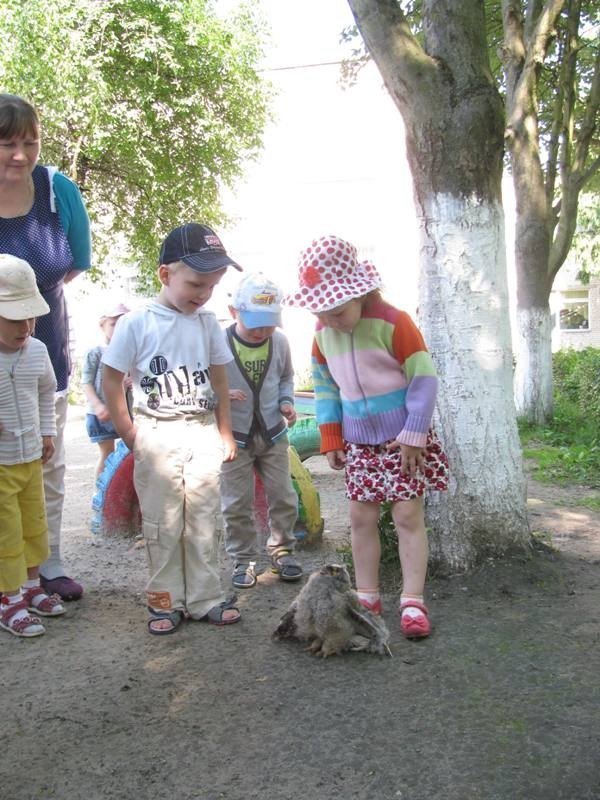 У Луцьку пожежники врятували совеня. ФОТО