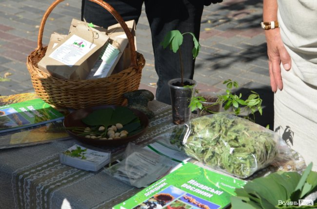 Ярмарок на «Лесі»: що особливого лучанам пропонують купити у національне свято. ФОТО