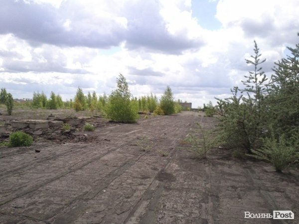 Повітряний ліс на луцькому будинку. ФОТО