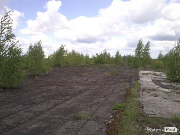 Повітряний ліс на луцькому будинку. ФОТО