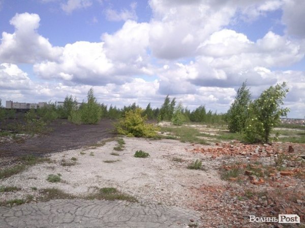 Повітряний ліс на луцькому будинку. ФОТО