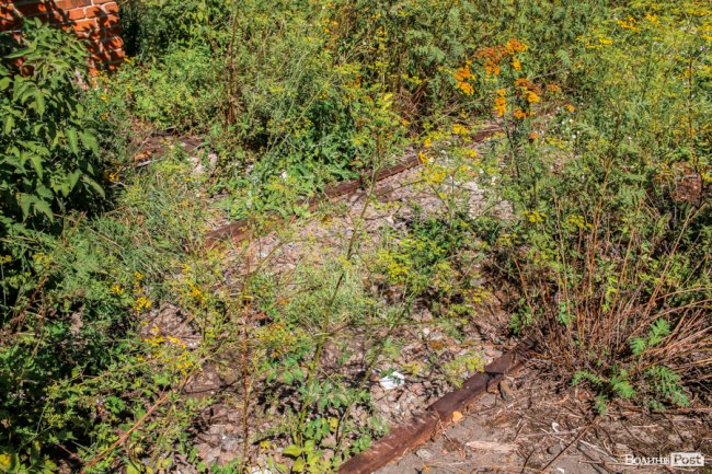 Безіменна вулиця і неназваний ставок: чим особливий неквапливий Вишків. ФОТО