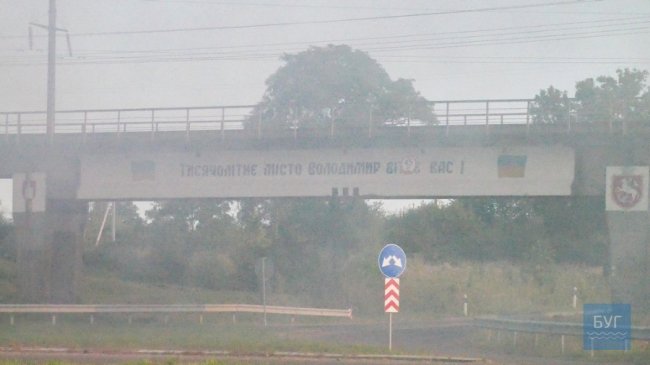 Місто накрила димова завіса: у Володимирі-Волинському горів сухостій. ВІДЕО