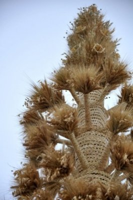 У центрі  Рівного встановили велетенський символ Різдва. ФОТО