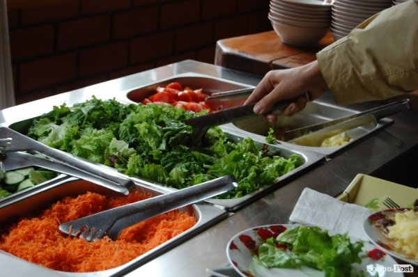 Як відпочивають в університетському таборі на Світязі. ФОТО